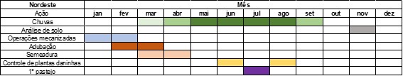 precificação do boi gordo