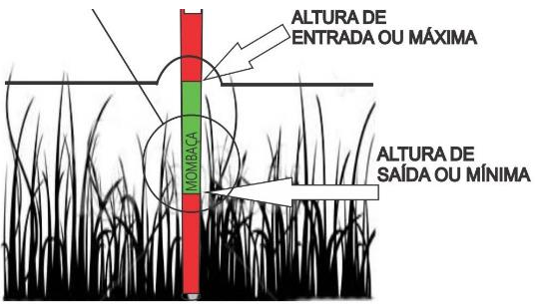 régua de medição de pastagem