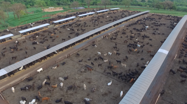 Recanto Vó Cidinha, localizado em Nhandeara (SP)